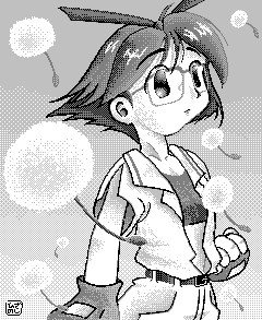 �^���|�s�̉Ԃ��炭����